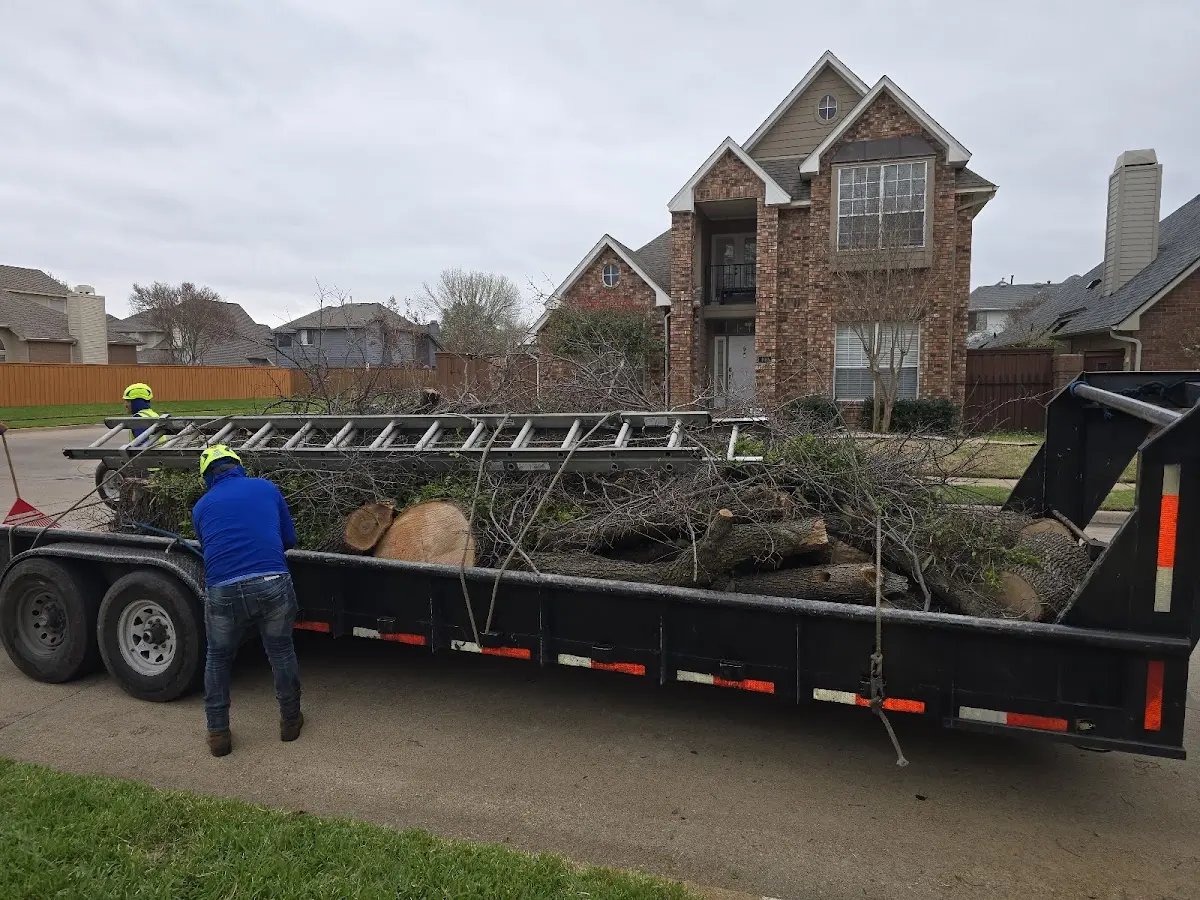 Expert Crown Reduction with proper safety equipment in Lawton